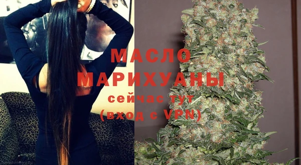 стаф Арсеньев