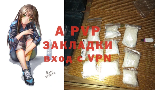 стаф Арсеньев