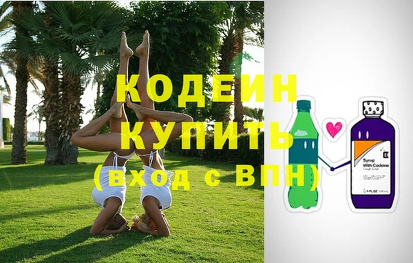 стаф Арсеньев